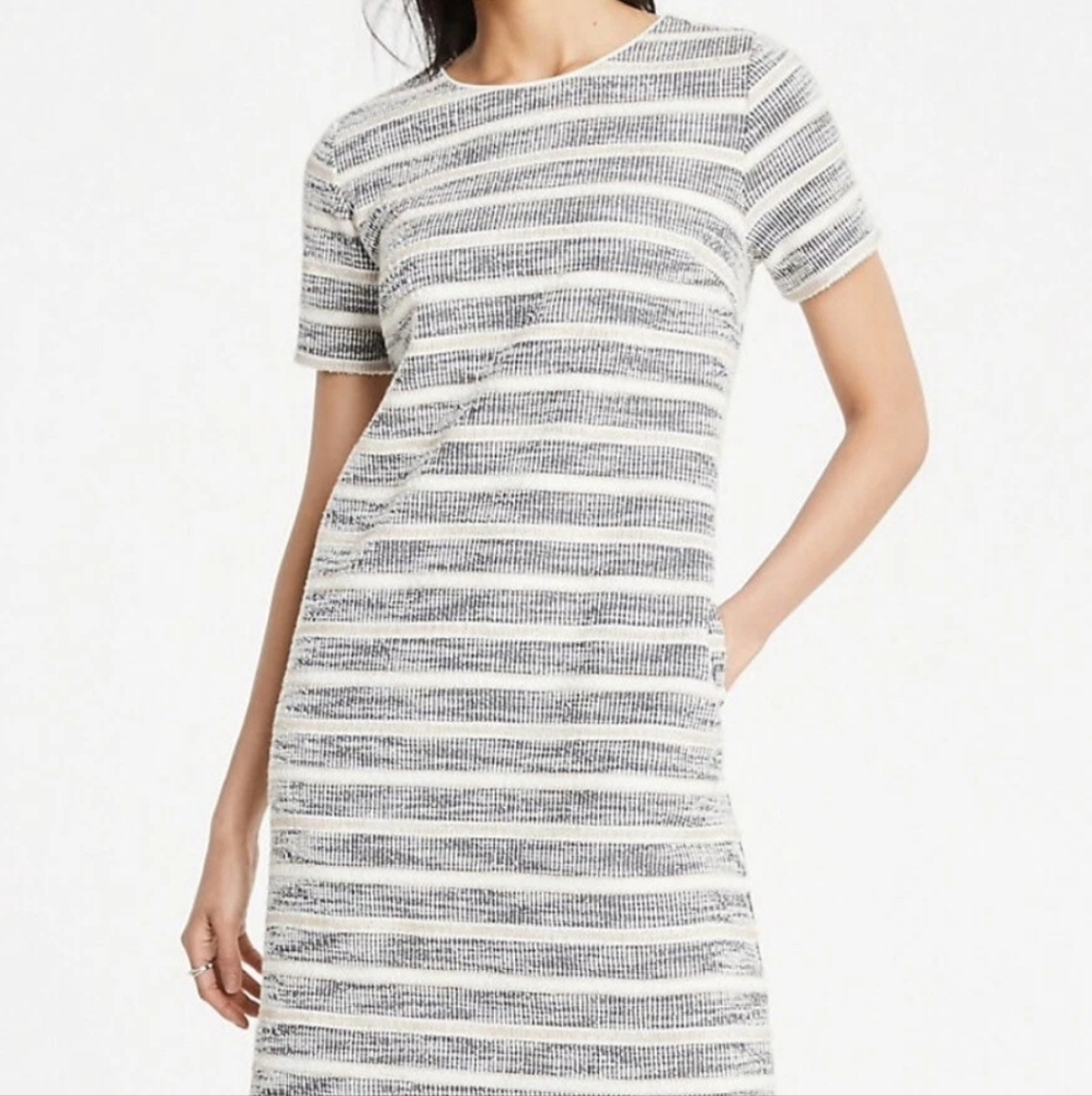 Ann Taylor Textured Stripe Knit Tweed Shift Dress White Grey Preppy Pockets Sz L